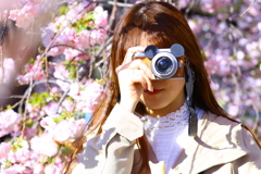 桜カメラ