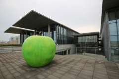 兵庫県立美術館　青りんご