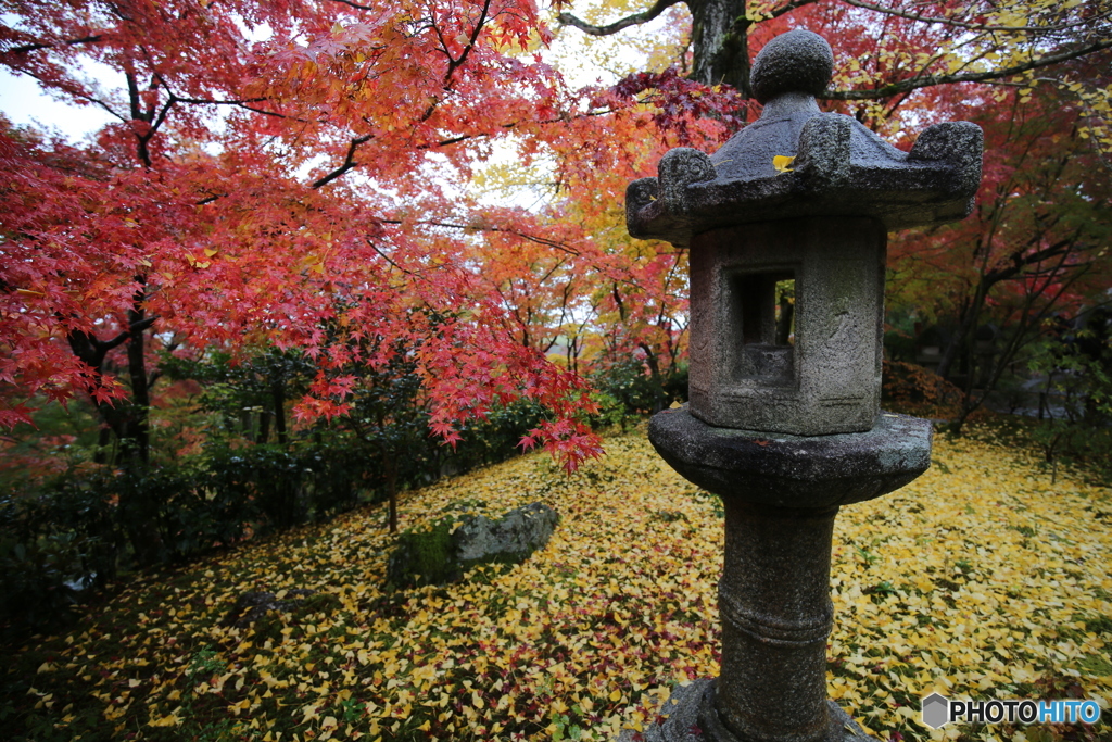 常寂光寺　もみじ灯籠