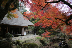 加計 吉水園 紅葉