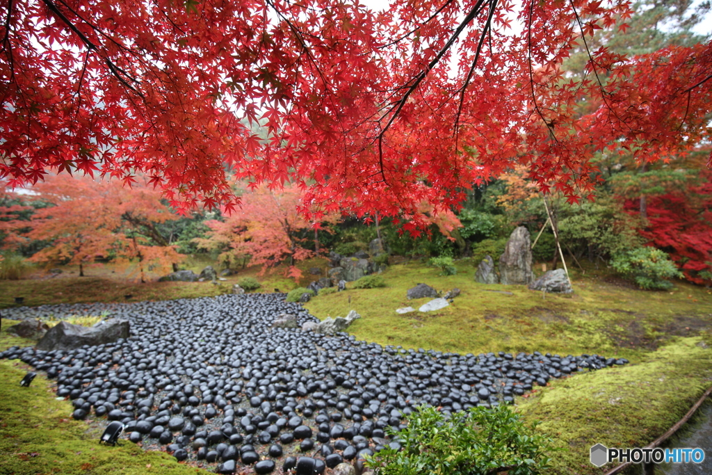 宝厳院のお庭1