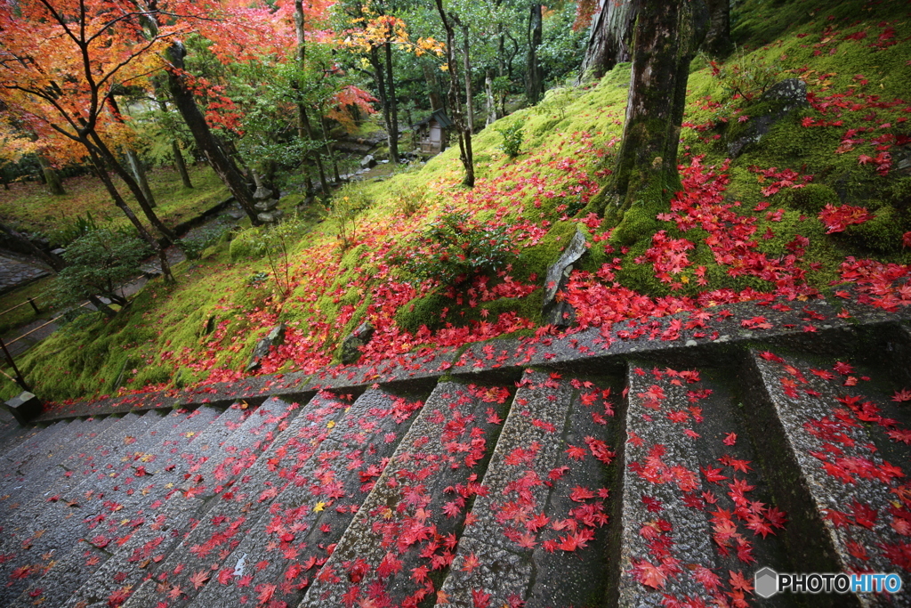 常寂光寺もみじの階段