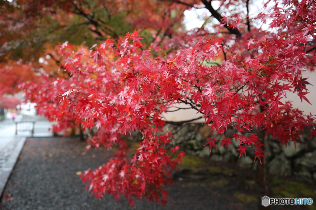 天龍寺の辺り2