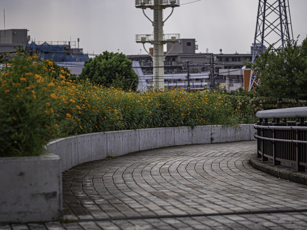 SIGMA 56mm F1.4 DC DN 60