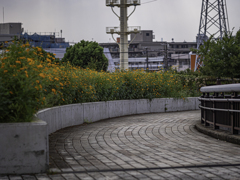 SIGMA 56mm F1.4 DC DN 60