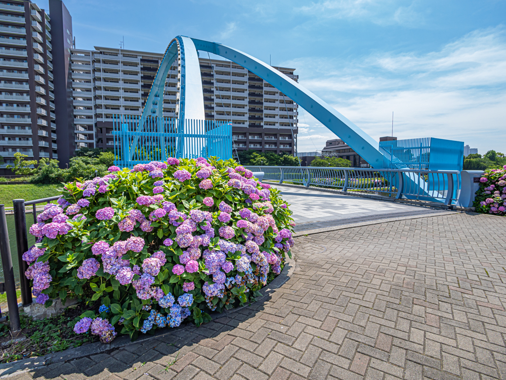 GH6 + LEICA DG SUMMILUX 9mm/F1.7 ASPH. ③