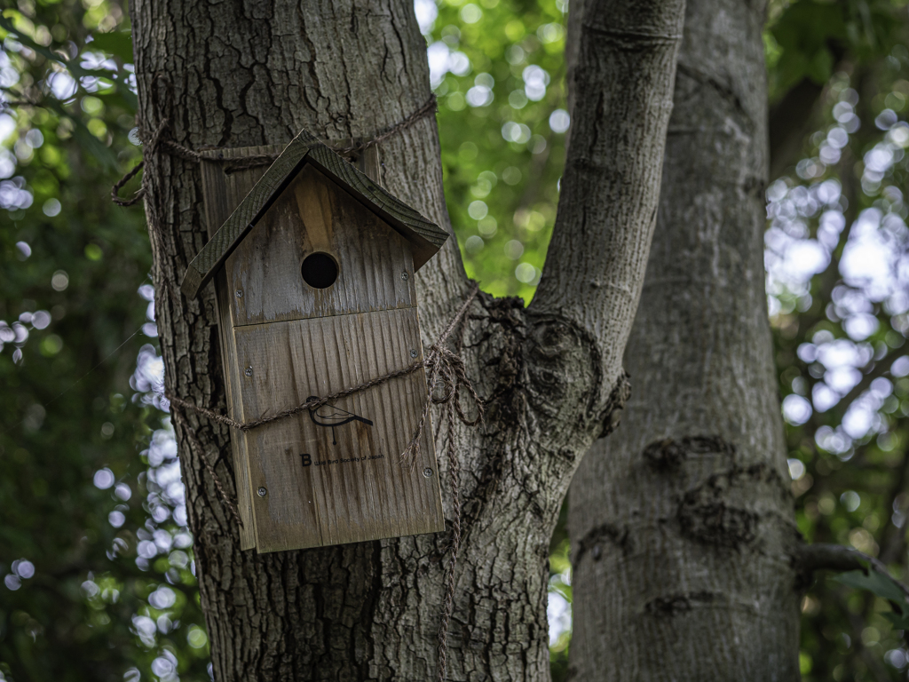 SIGMA 56mm F1.4 DC DN 63