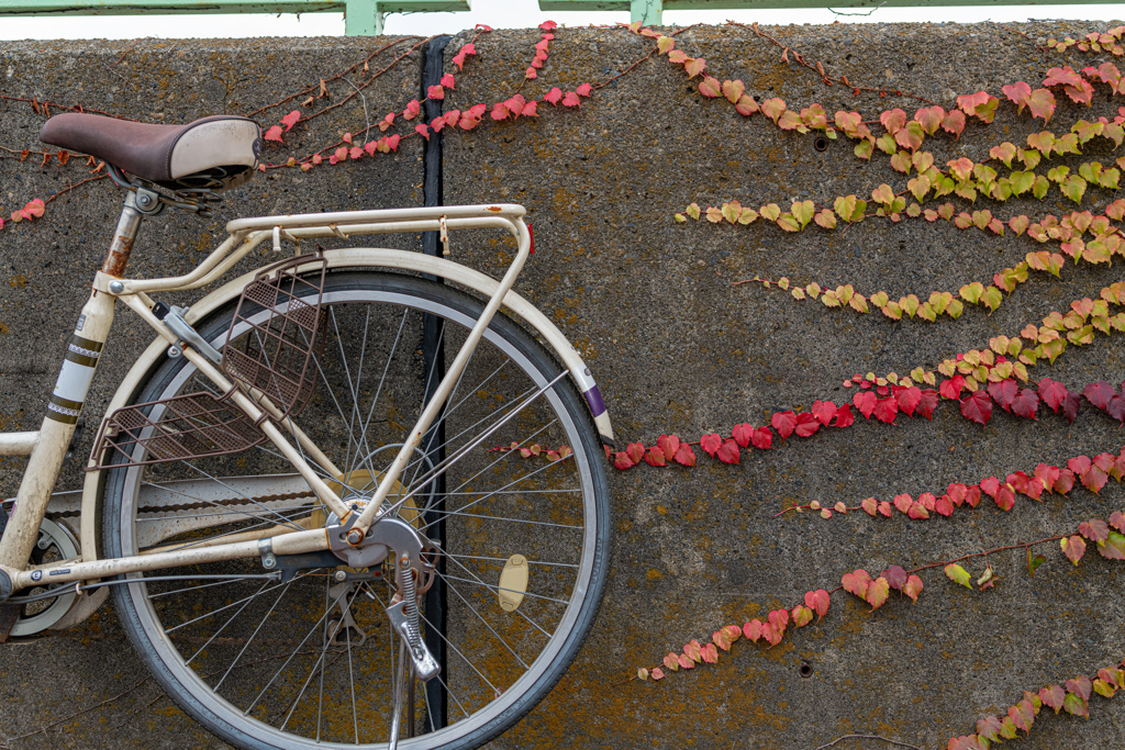 D850 35mmでの作例③