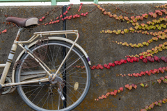 D850 35mmでの作例③