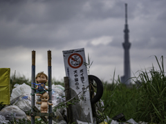 SIGMA 56mm F1.4 DC DN 50