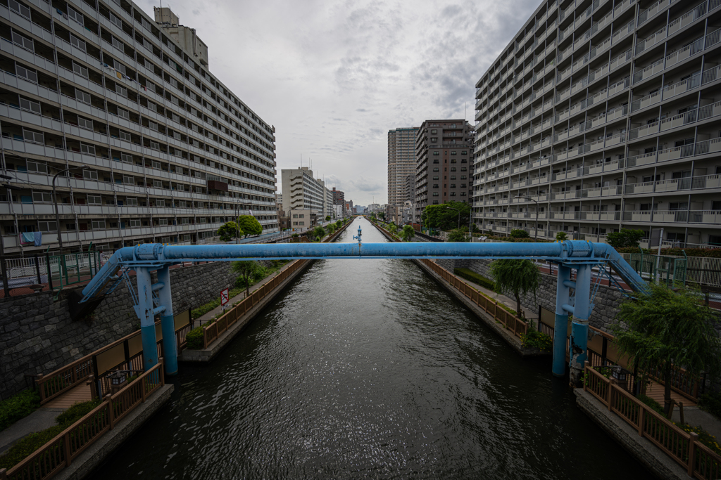 Z8 + NIKKOR Z 14-30mm f/4 S サンプル①