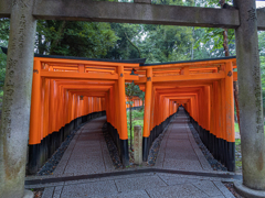 京都・伏見稲荷 + LEICA SUMMILUX 9mm With GH6③