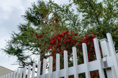 D850 35mmでの作例②