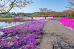 S5 MarkⅡ + 20-60mm With 東京ドイツ村④