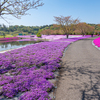 S5 MarkⅡ + 20-60mm With 東京ドイツ村④
