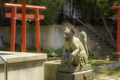 シグマ 85mm F1.4 DG HSM 作例⑬