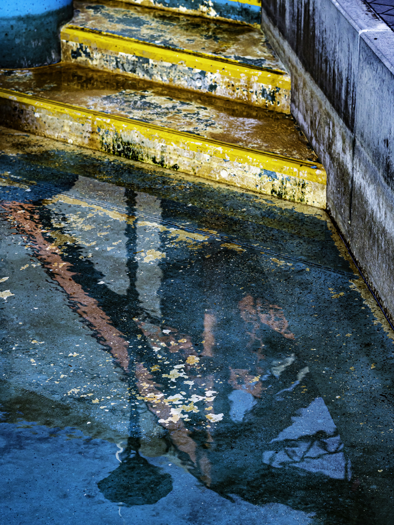 SIGMA 56mm F1.4 DC DN ⑪