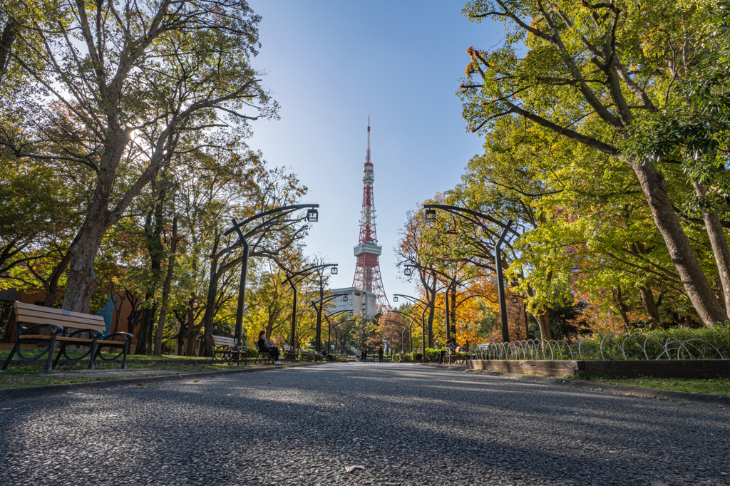 G9Ⅱ+LEICA DG SUMMILUX 9mm/F1.7 作例②