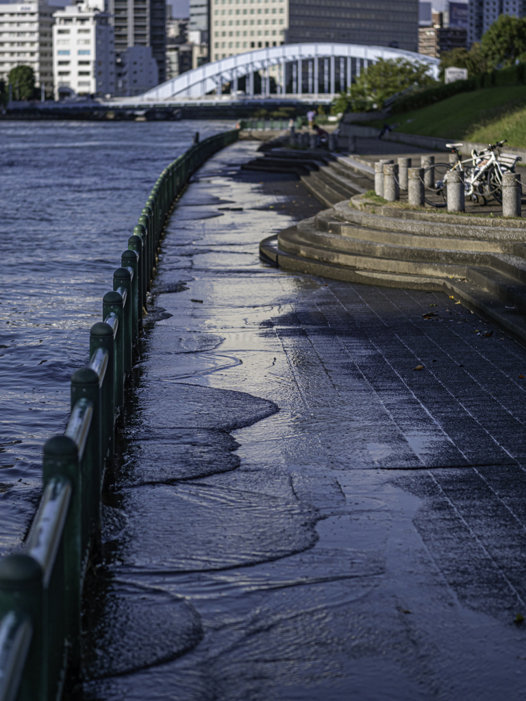 SIGMA 56mm F1.4 DC DN