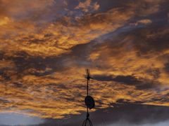 SIGMA 56mm F1.4 DC DN 43