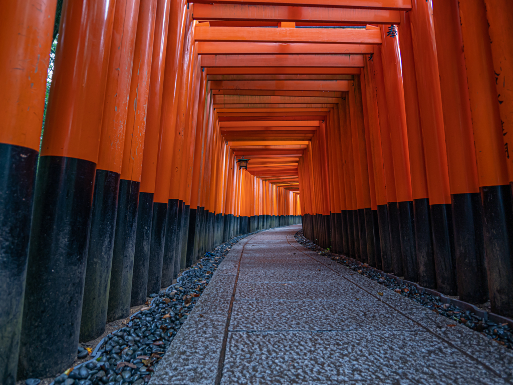 京都・伏見稲荷 + LEICA SUMMILUX 9mm With GH6④