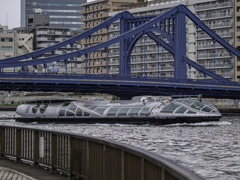 SIGMA 56mm F1.4 DC DN 65