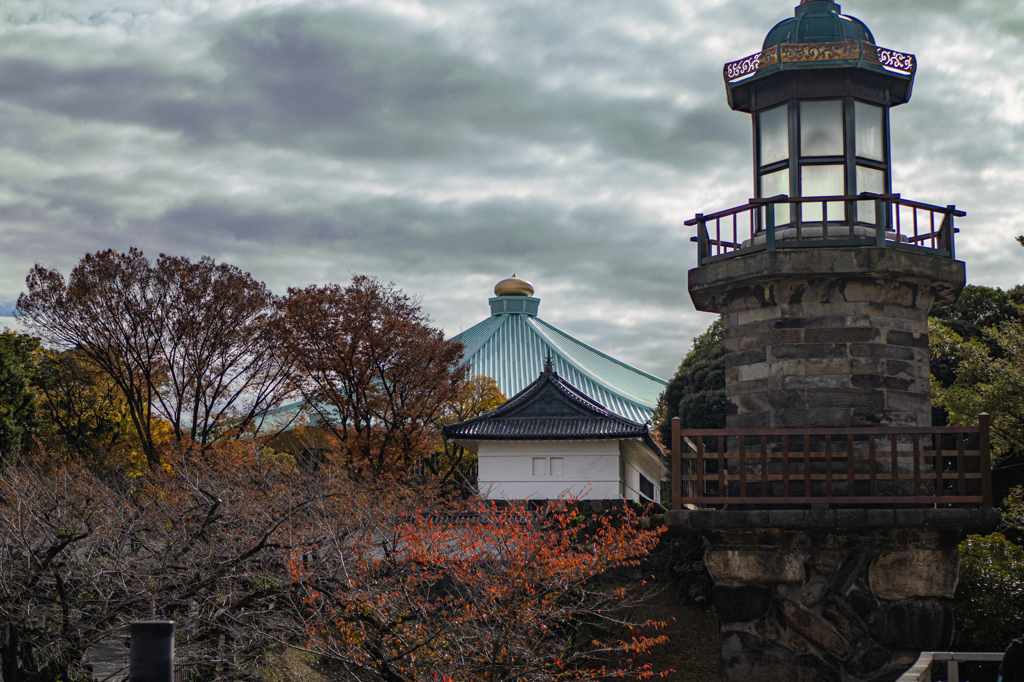 G9Ⅱ+LUMIX G 25mm/F1.7 ASPH. 作例②