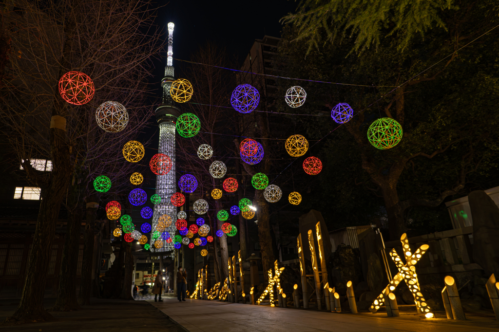 G9Ⅱ+LEICA DG VARIO-SUMMILUX 10-25mm ①