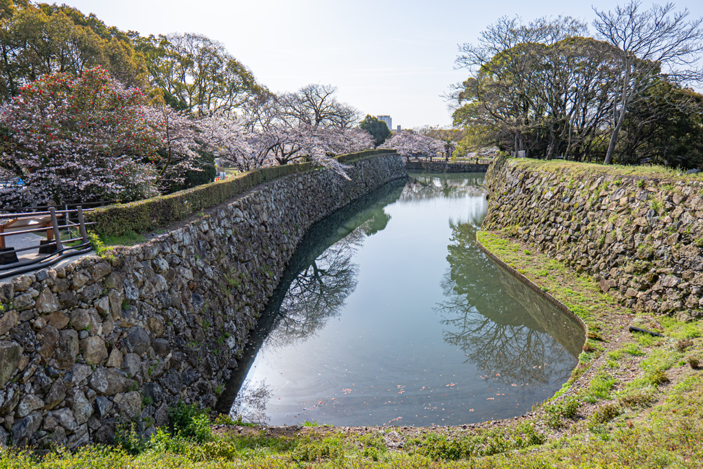S5 MarkⅡ + 20-60mm With 姫路 ⑤