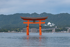 S5Ⅱ 広島 厳島神社②