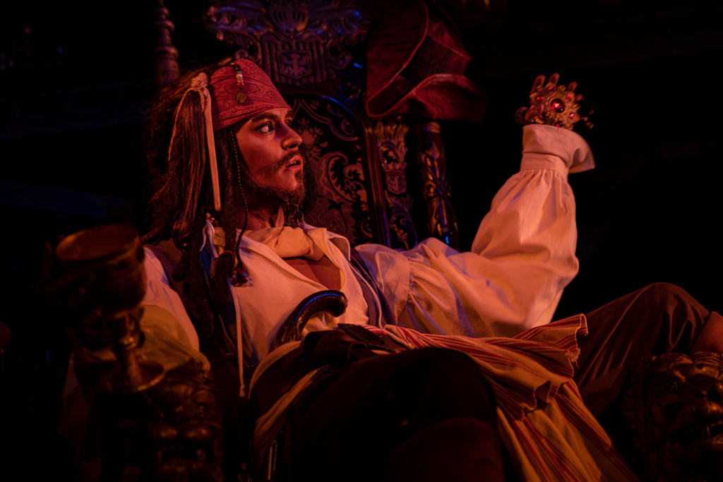 夢と魔法の王国　カリブの海賊　作例２