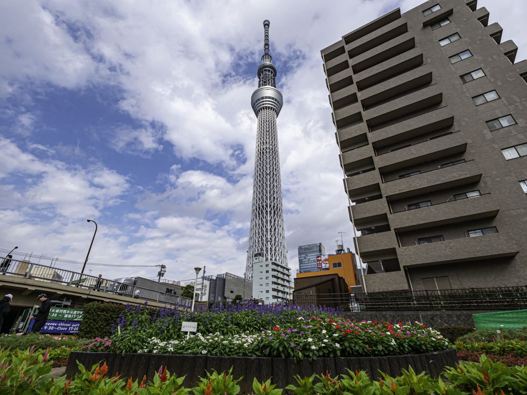 LEICA DG VARIO-ELMARIT 8-18mm 06