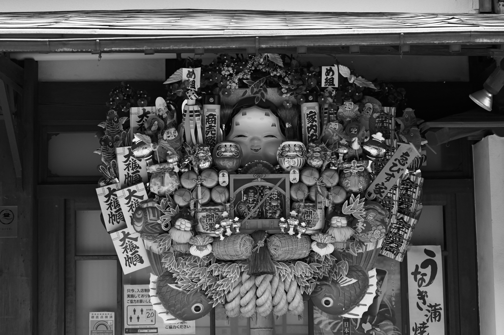 G9Ⅱ + LEICA 35-100mm/F2.8・サンプル⑧