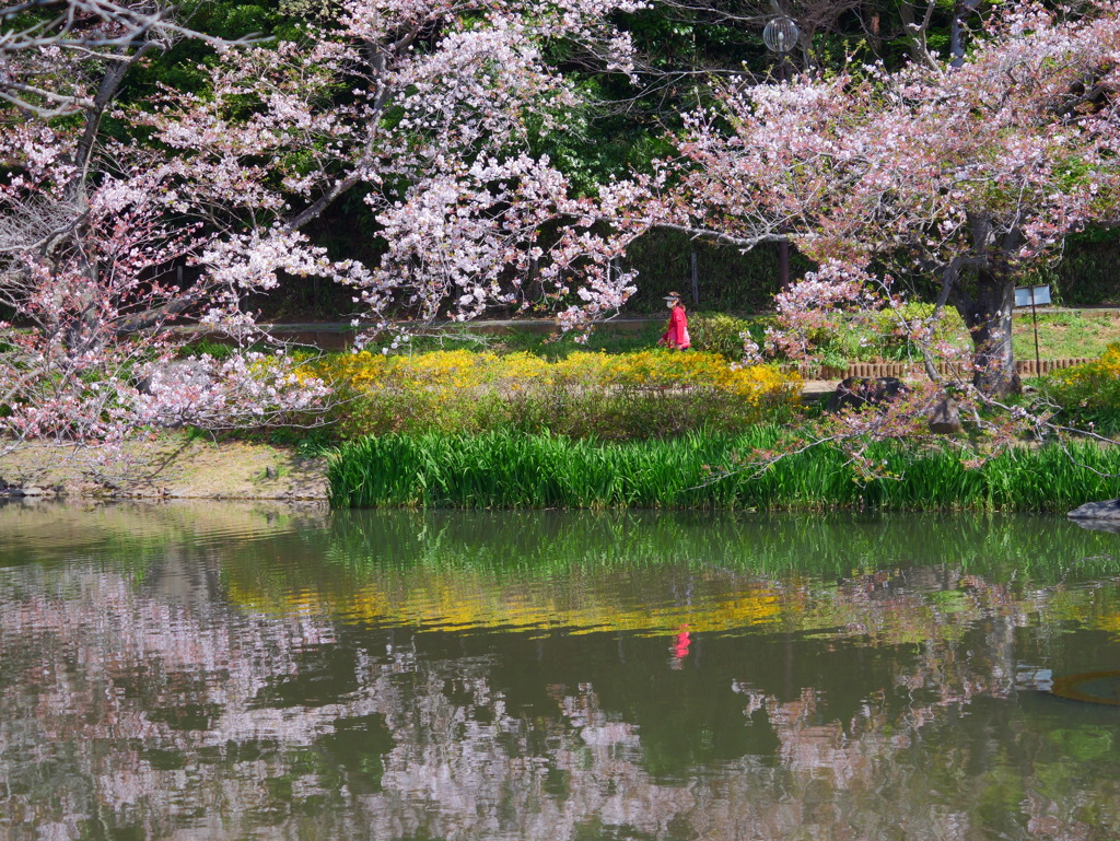 GH6 + LUMIX G X VARIO PZ 45-175mm③