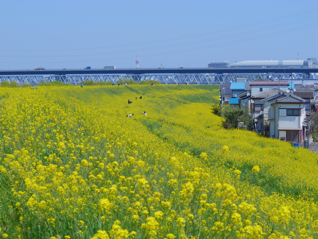GH6 + LUMIX G X VARIO PZ 45-175mm⑤