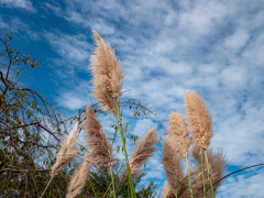 広角レンズの　広角側と望遠側の差②