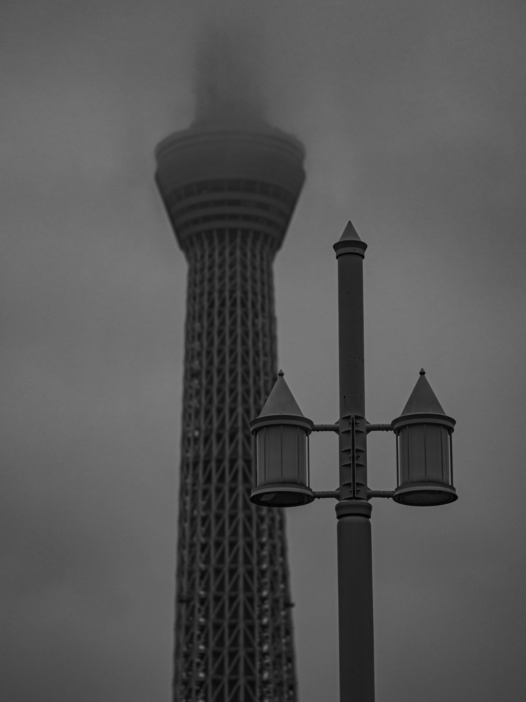 SIGMA 56mm F1.4 DC DN