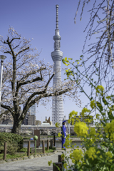 スカイツリーと監視員
