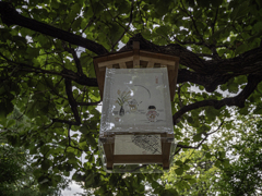 LEICA DG VARIO-ELMARIT 8-18mm 04