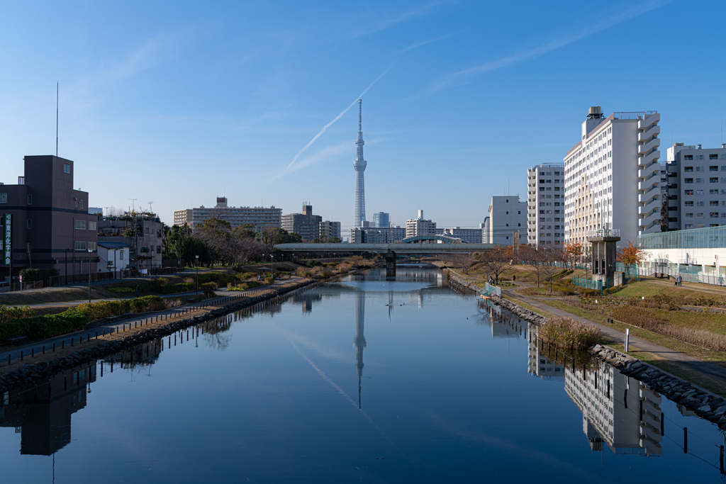 D850 35mmでの作例⑤