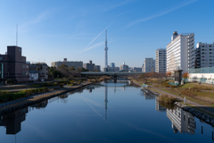 D850 35mmでの作例⑤