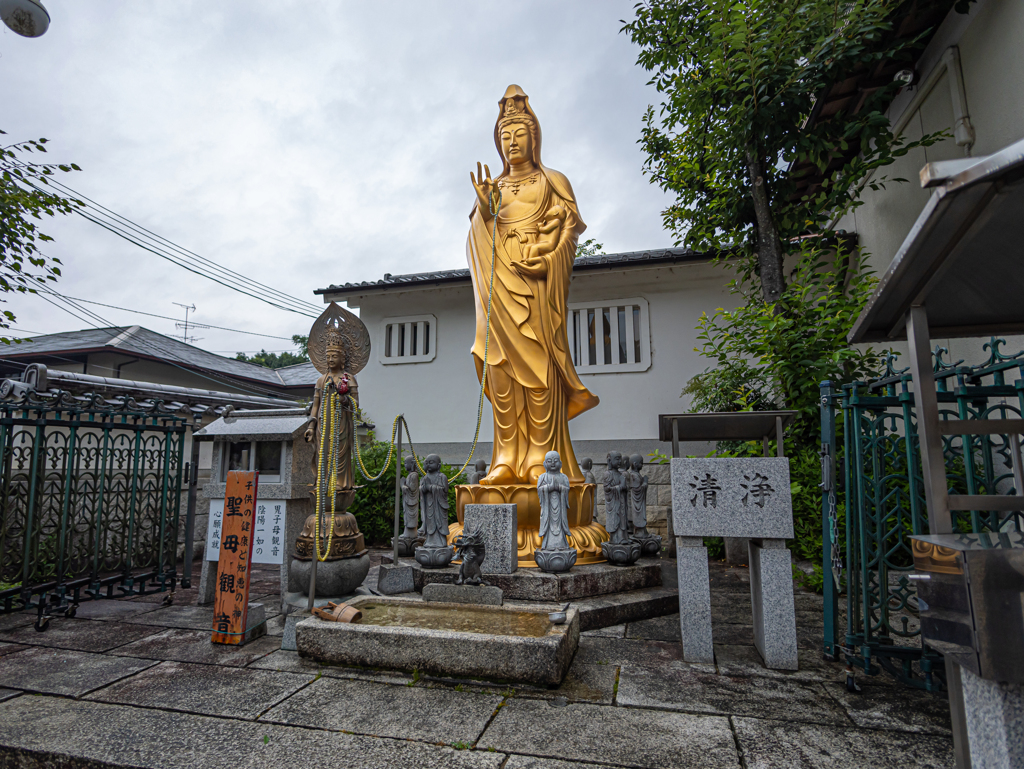 京都・伏見稲荷 + LEICA SUMMILUX 9mm With GH6①