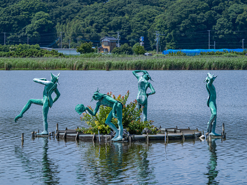 GH6 + LUMIX G VARIO 100-300 in 手賀沼