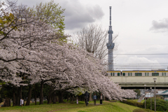 G9PROⅡ + VARIO 14-140mm/F3.5-5.6 II ④