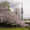 G9PROⅡ + VARIO 14-140mm/F3.5-5.6 II ④