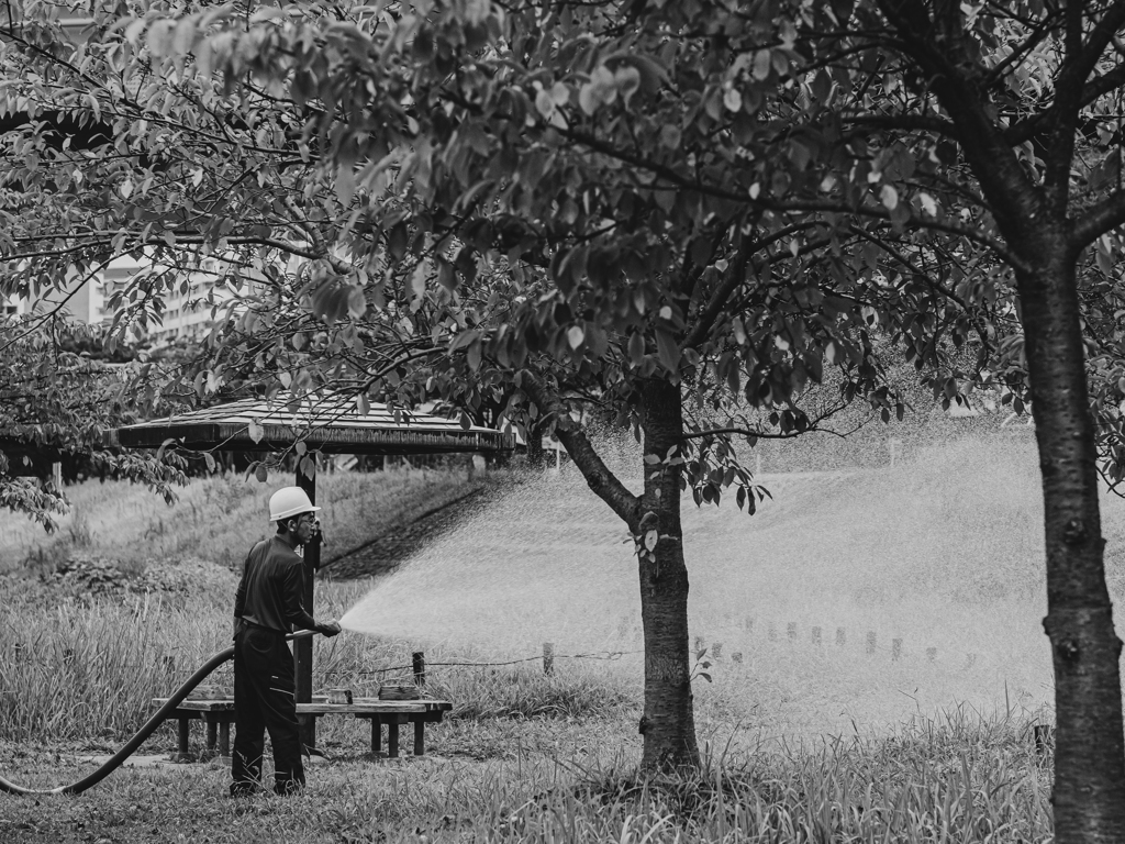 SIGMA 56mm F1.4 DC DN 42