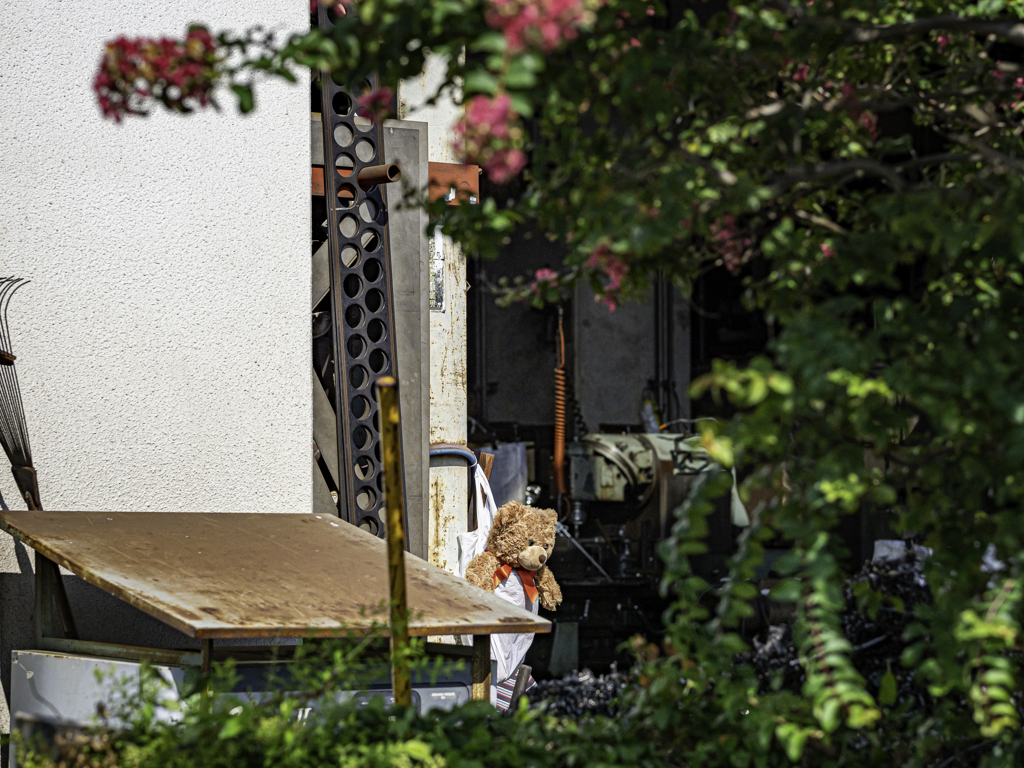 SIGMA 56mm F1.4 DC DN 35