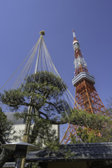 東京タワー