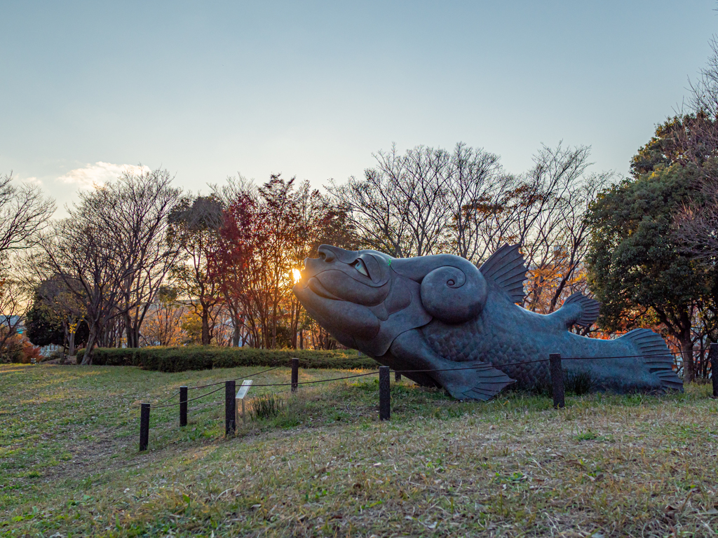 G9 Pro  15mmでの作例①