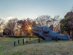 G9 Pro  15mmでの作例①